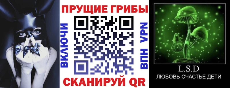 Галлюциногенные грибы мицелий  blacksprut сайт  Сунжа 