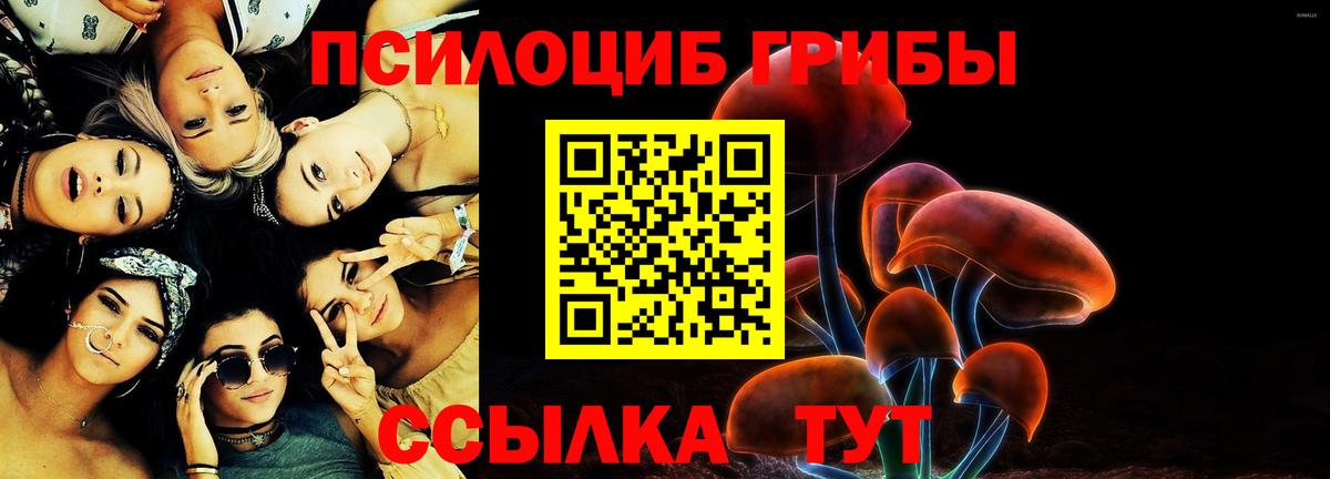 Галлюциногенные грибы MAGIC MUSHROOMS  Вход с VPN  Сунжа 