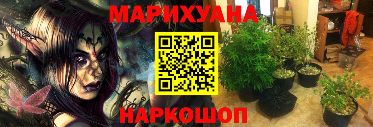 МАРИХУАНА планчик  Конопля индика  Вход с VPN  Бошки марихуана семена  Сунжа 